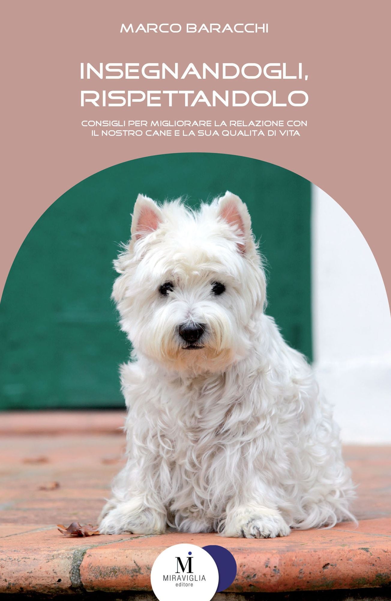 Insegnandogli, rispettandolo: Consigli per migliorare la relazione con il nostro cane e la sua qualità di vita