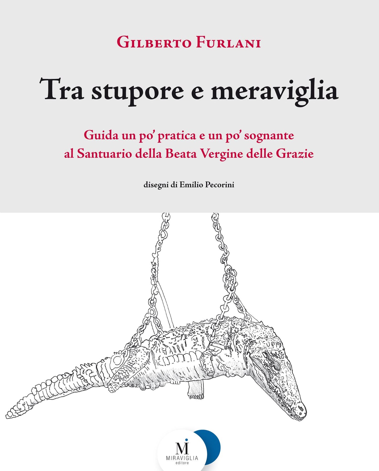 Tra stupore e meraviglia: Guida un po' pratica e un po' sognante al Santuario della Beata Vergine delle Grazie