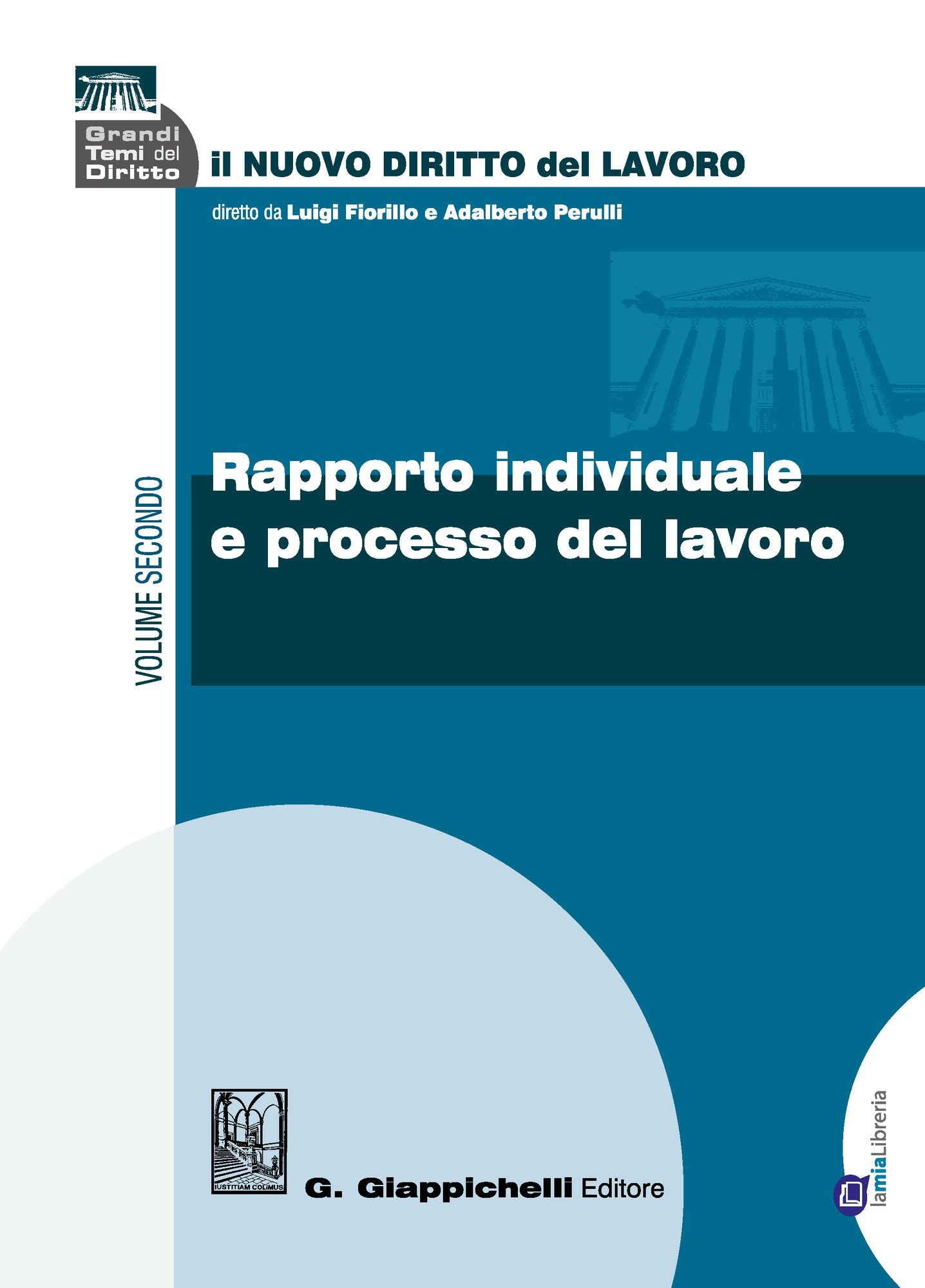 Rapporto individuale e processo del lavoro: Volume secondo