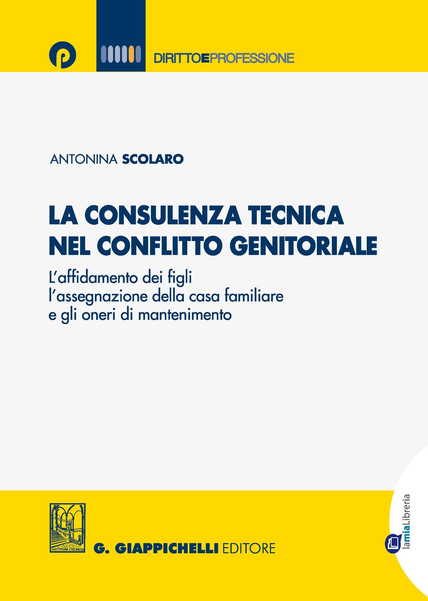 La consulenza tecnica nel conflitto genitoriale: L'affidamento dei figli, l'assegnazione della casa familiare e gli oneri di mantenimento