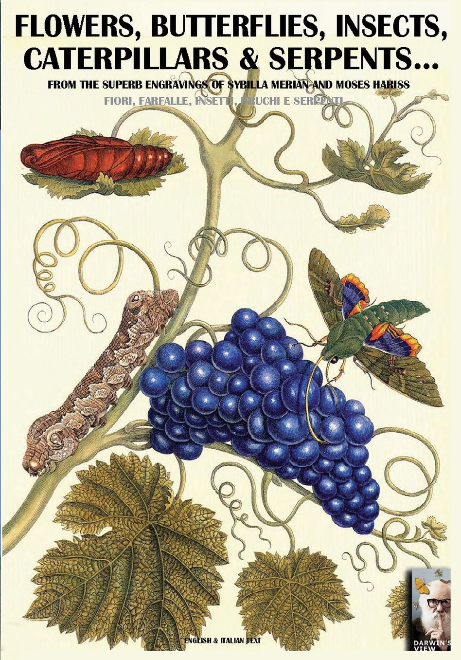 flowers, butterflies, insects, caterpillars & serpents...: From Sybilla Merian & Moses Hariss XVII-XVIII Centuries engravings