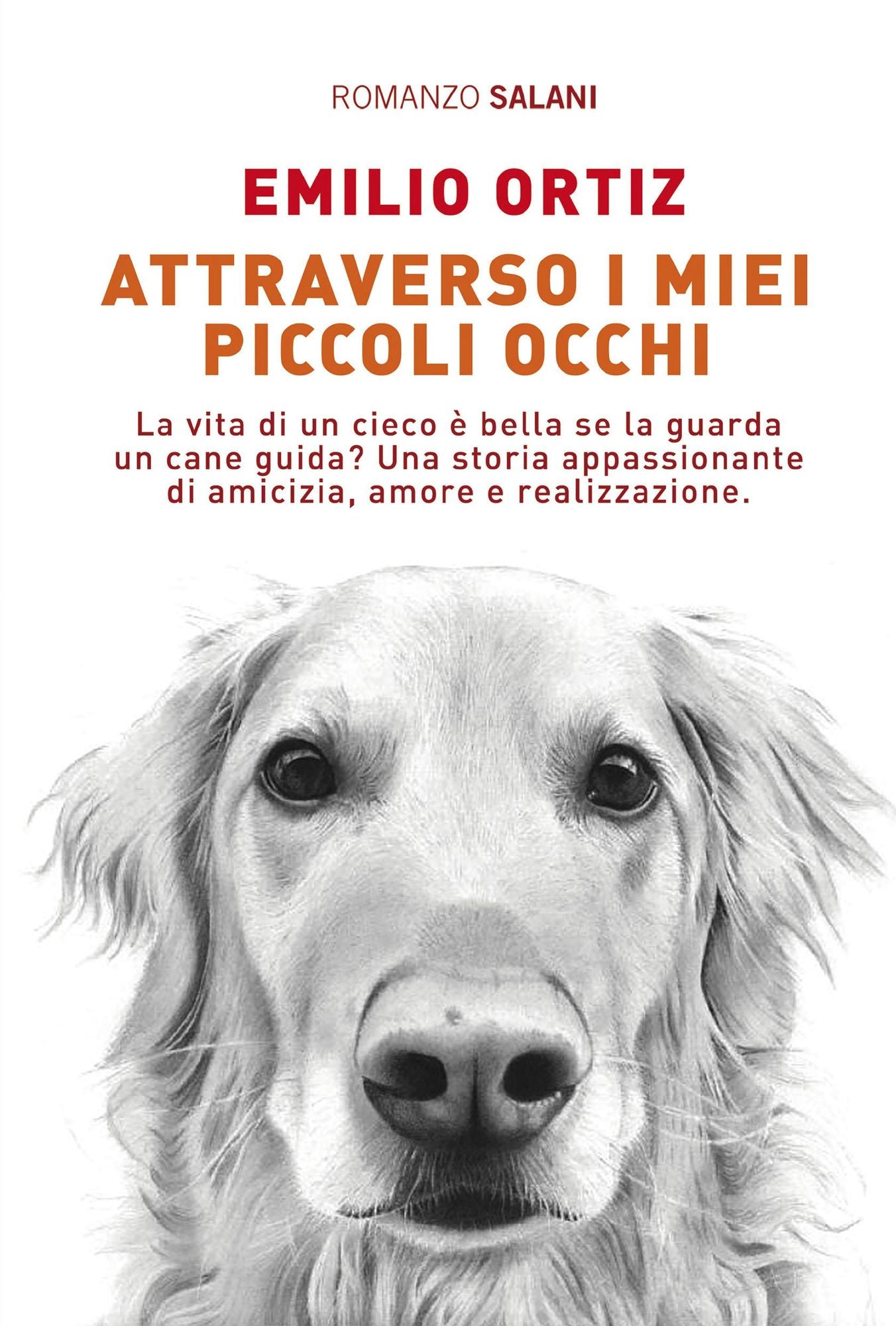 Attraverso i miei piccoli occhi