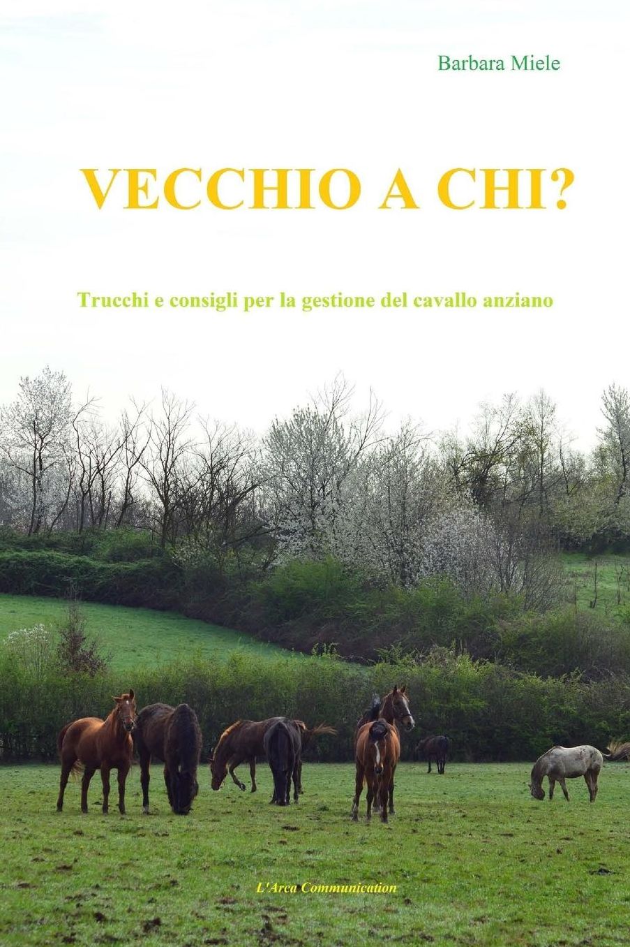 Vecchio a chi?: Trucchi e consigli per la gestione del cavallo anziano