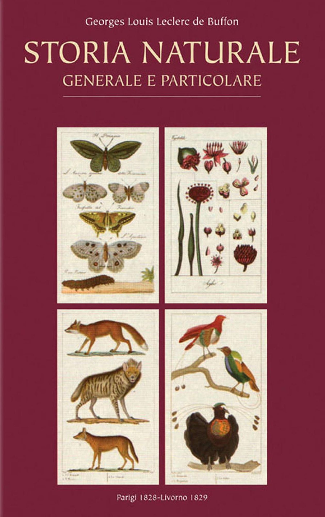 Storia Naturale: Generale e Particolare