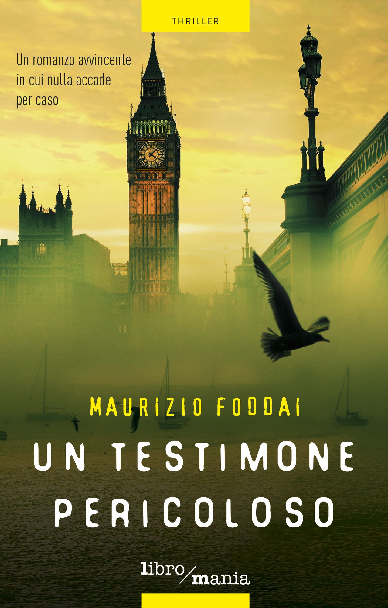 Un testimone pericoloso: Un thriller avvincente in cui nulla accade per caso
