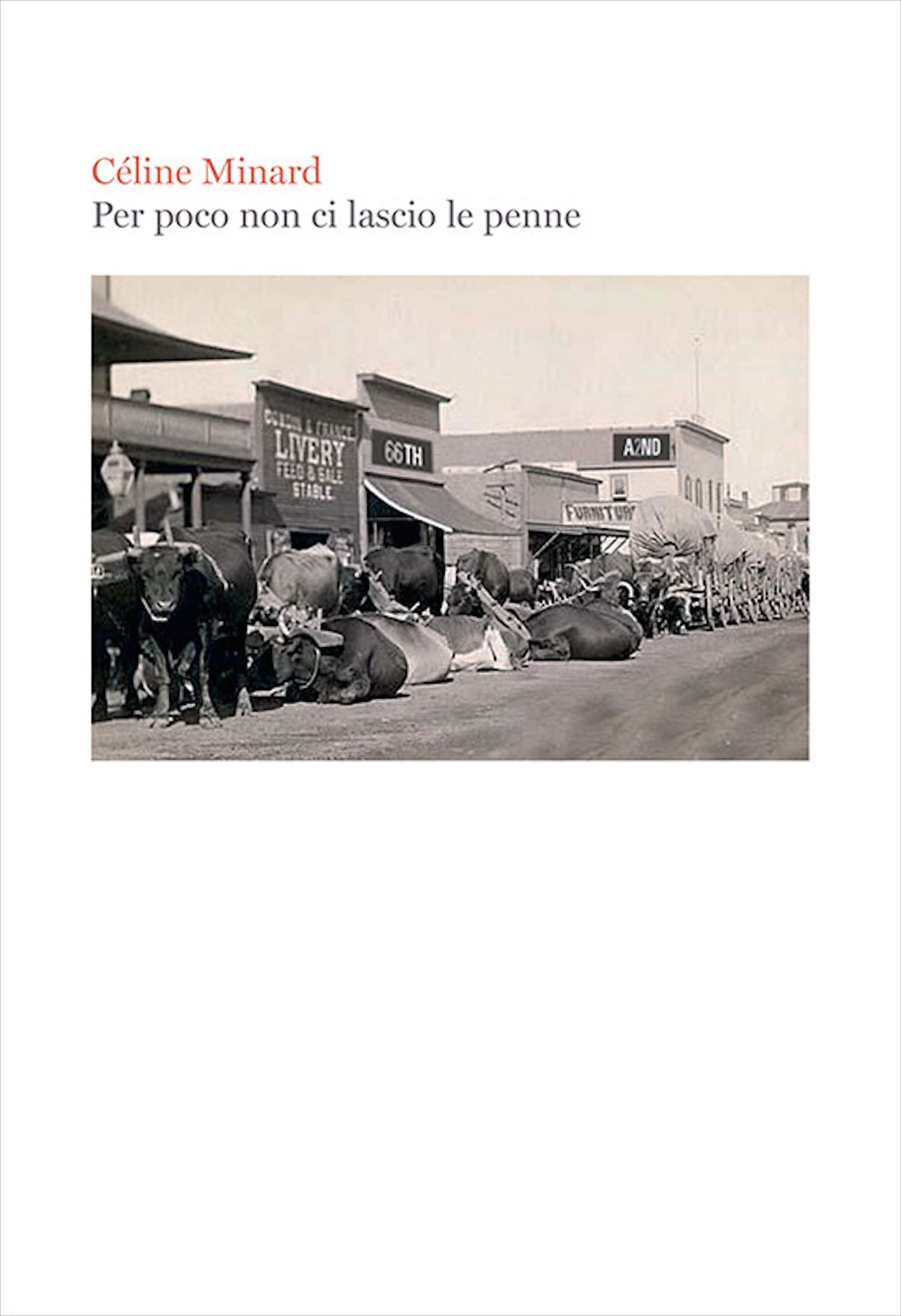 Per poco non ci lascio le penne
