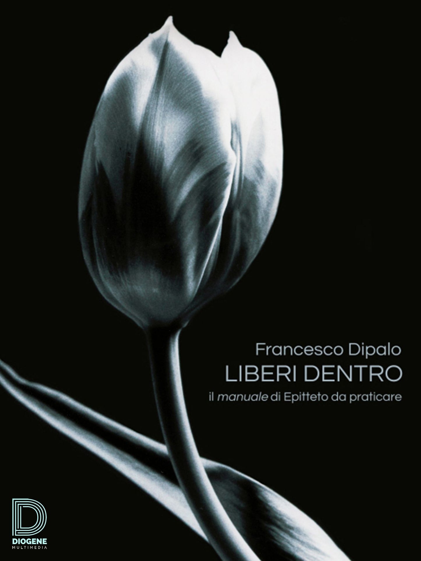 Liberi dentro: Il Manuale di Epitteto da praticare