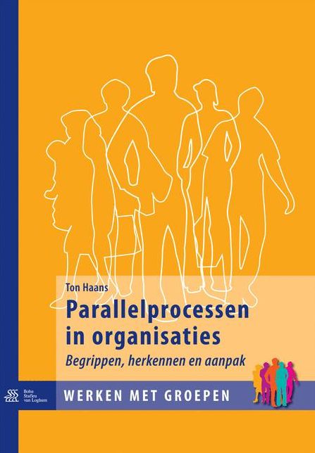 Parallelprocessen in organisaties: Begrippen, herkennen en aanpak