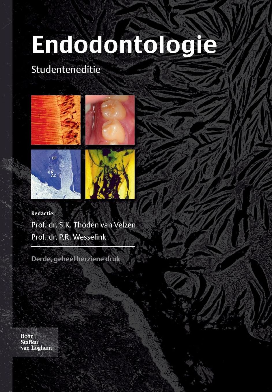 Endodontologie: Studenteneditie