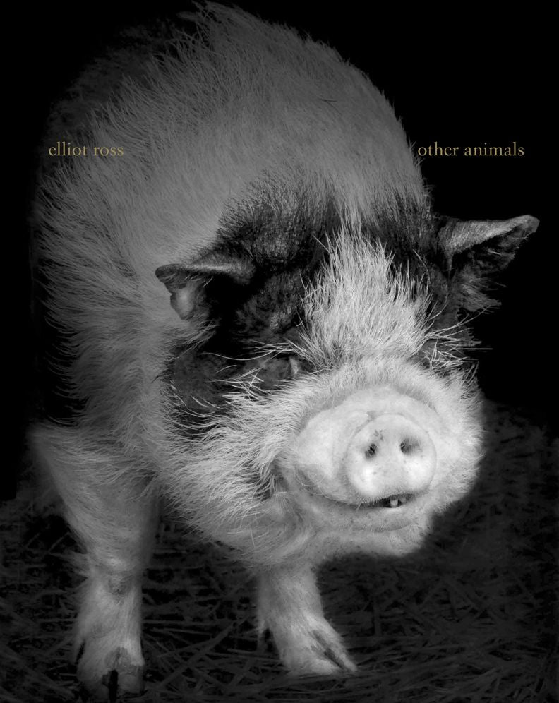 Other Animals