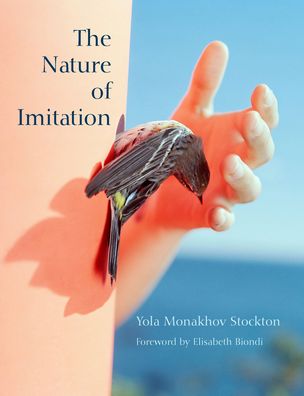 The Nature of Imitation