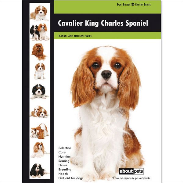 Cavalier K C Spaniel