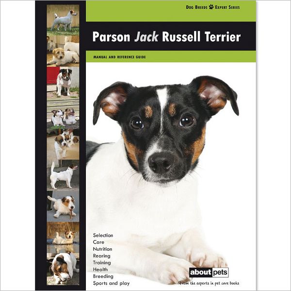 Parson Jack Russell