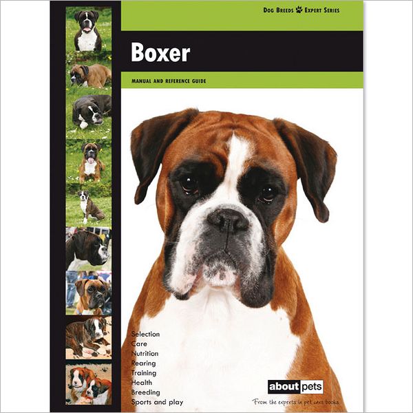 Boxer