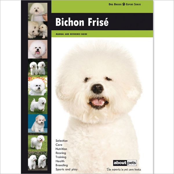 Bichon Frise