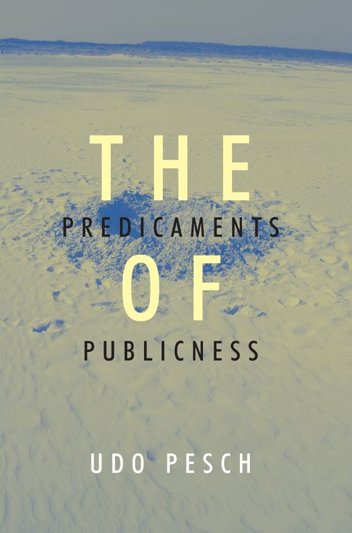 Predicaments of Publicness: An Inquiry into the Conceptual Ambiguity of Public Administration