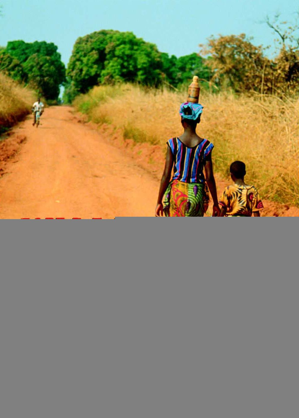 What Went Wrong with Africa