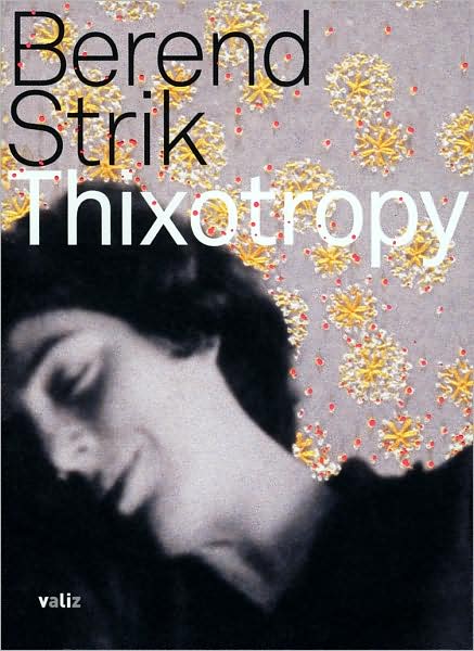 Berend Strik: Thixotropy