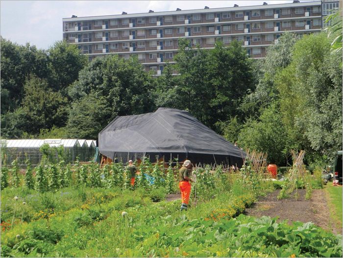 Nils Norman: Edible Park