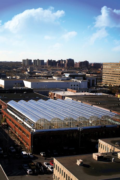 Farming the City: Food as a Tool for Today's Urbanization
