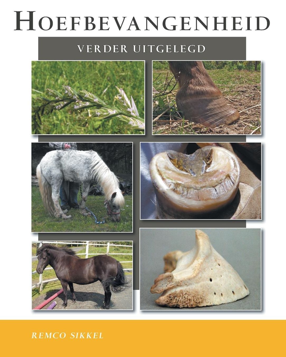 Hoefbevangenheid verder uitgelegd