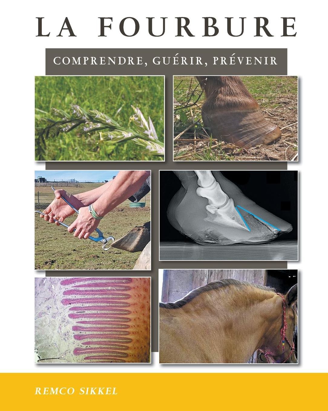 La fourbure: comprendre, guérir, prévenir