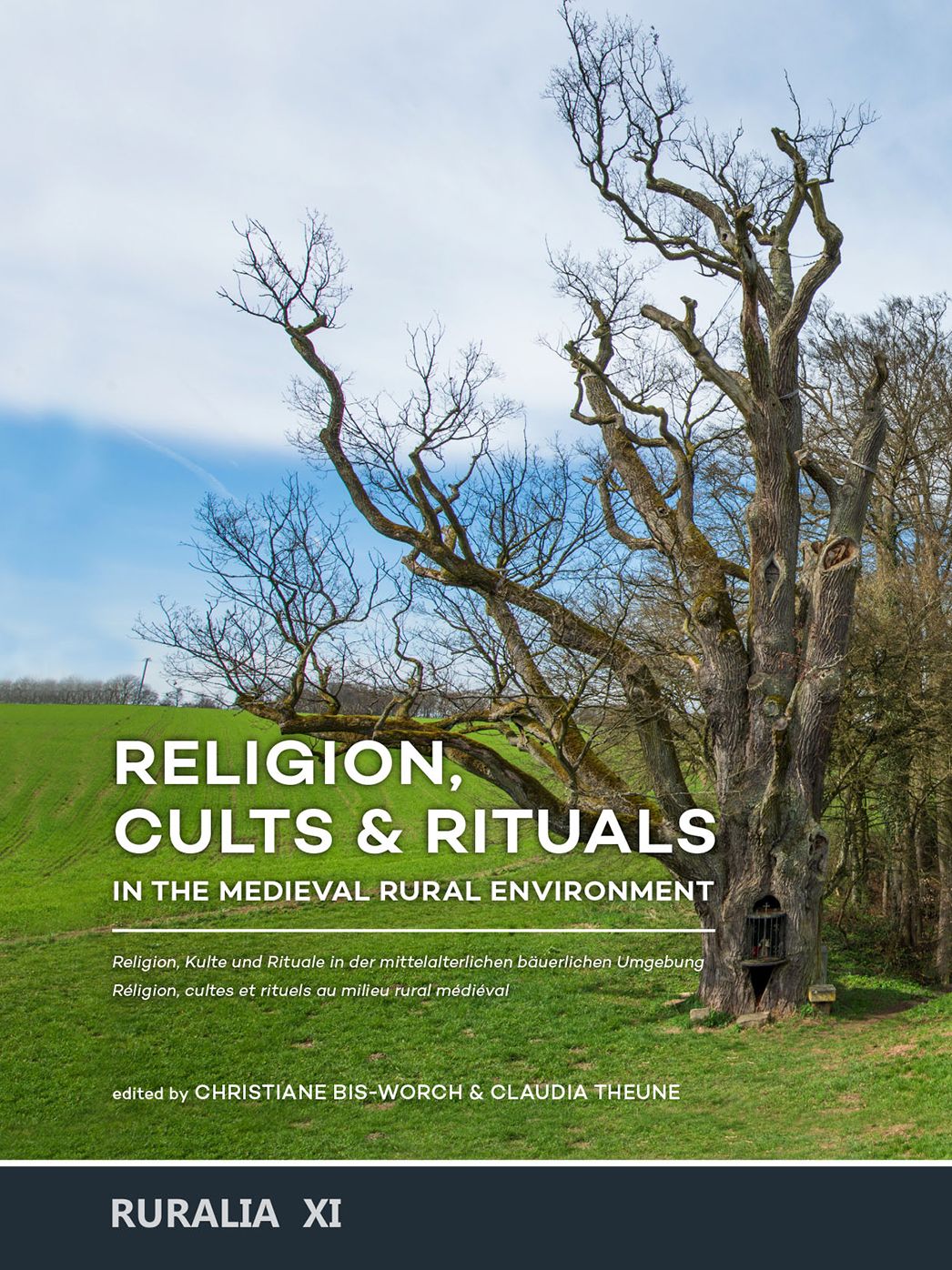 Religion, cults & rituals in the medieval rural environment: Religion, Kulte und Rituale in der mittelalterlichen bäuerlichen Umgebung Réligion, cultes et rituels au milieu rural médiéval
