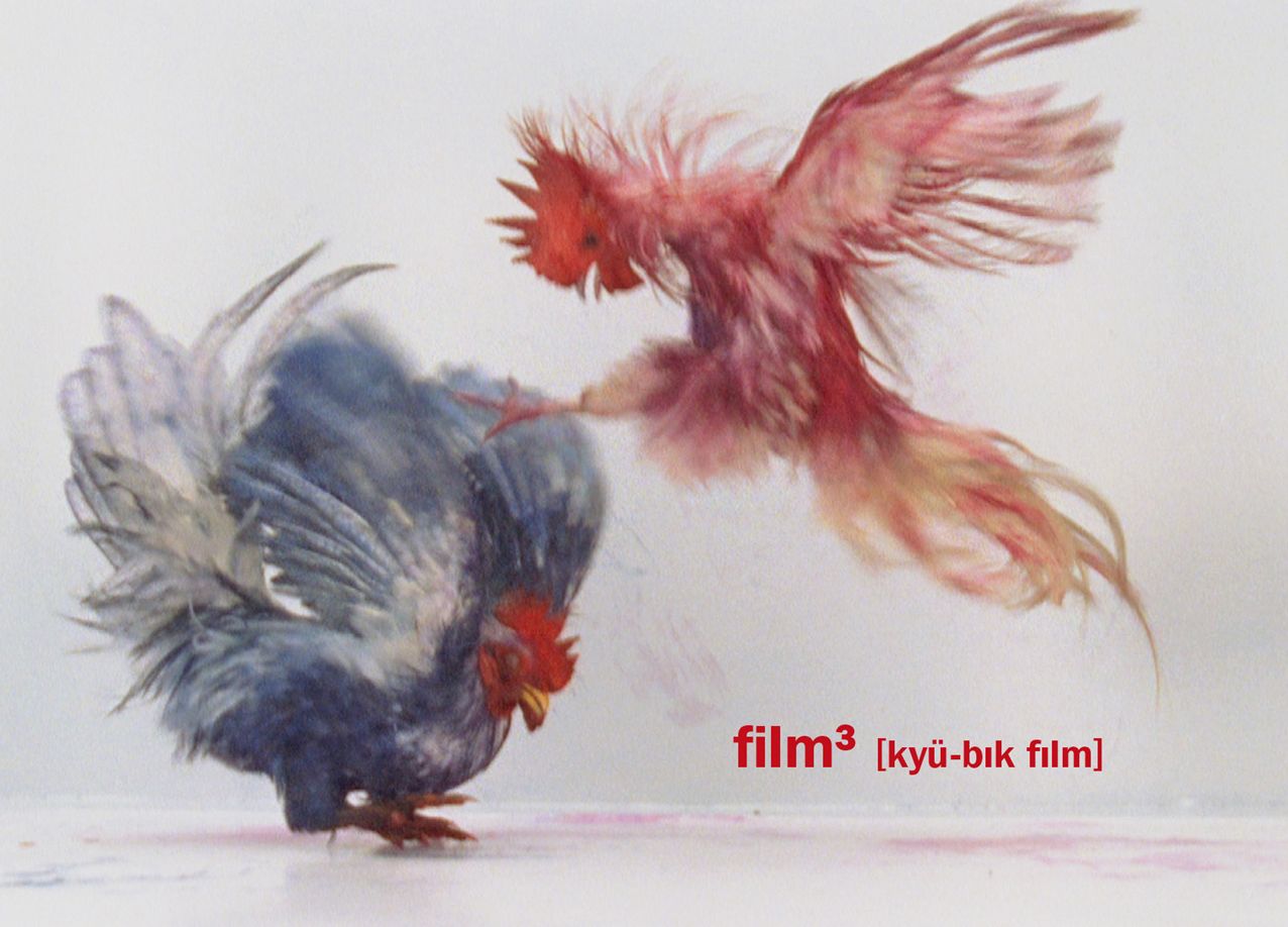 filmi ['kju:bIk fIlm]: New Cubic Films from the Netherlands