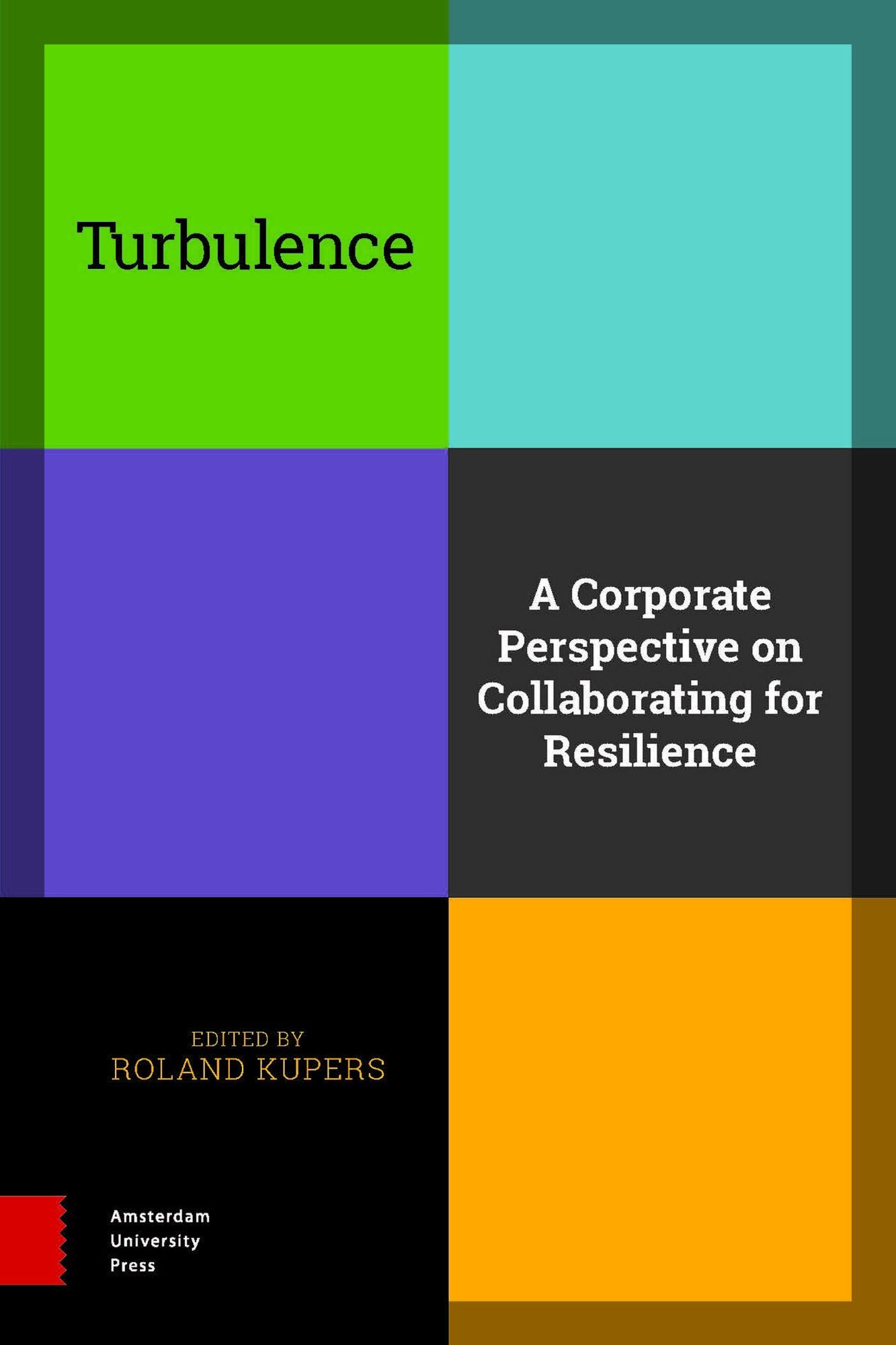 Turbulence: A Corporate Perspective on Collaborating for Resilience