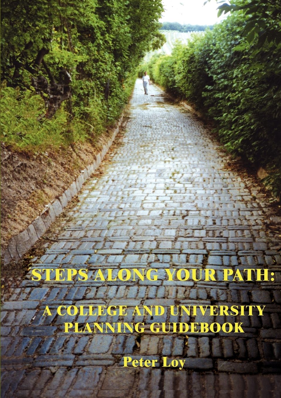 Steps Along Your Path: A College and University Planning Guidebook