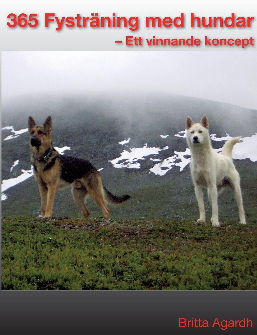 365 Fystr ning f r hundar