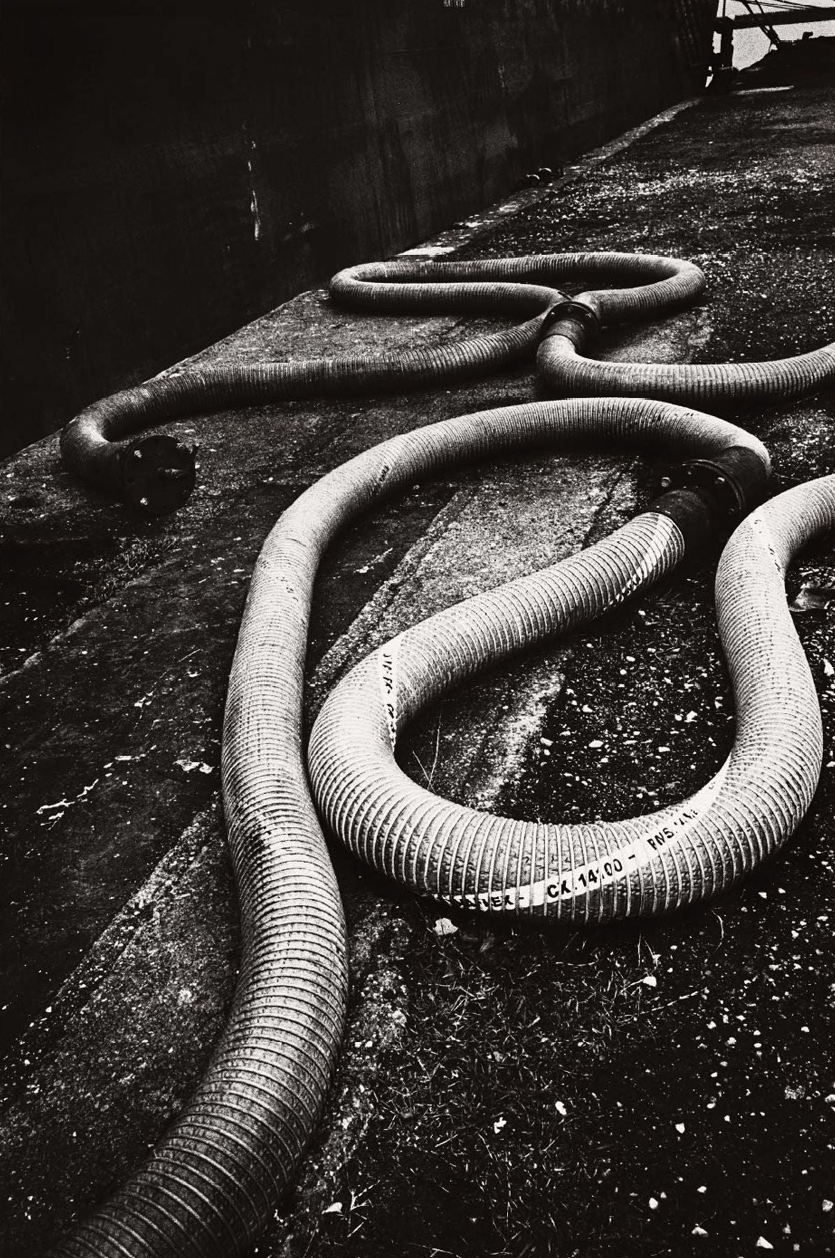 Anders Petersen