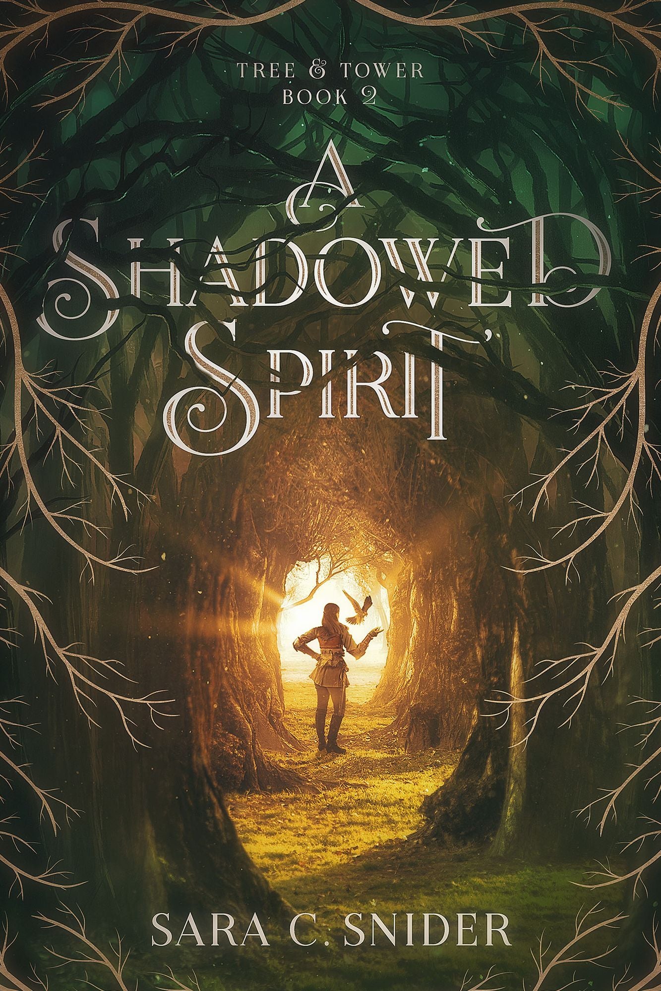 A Shadowed Spirit