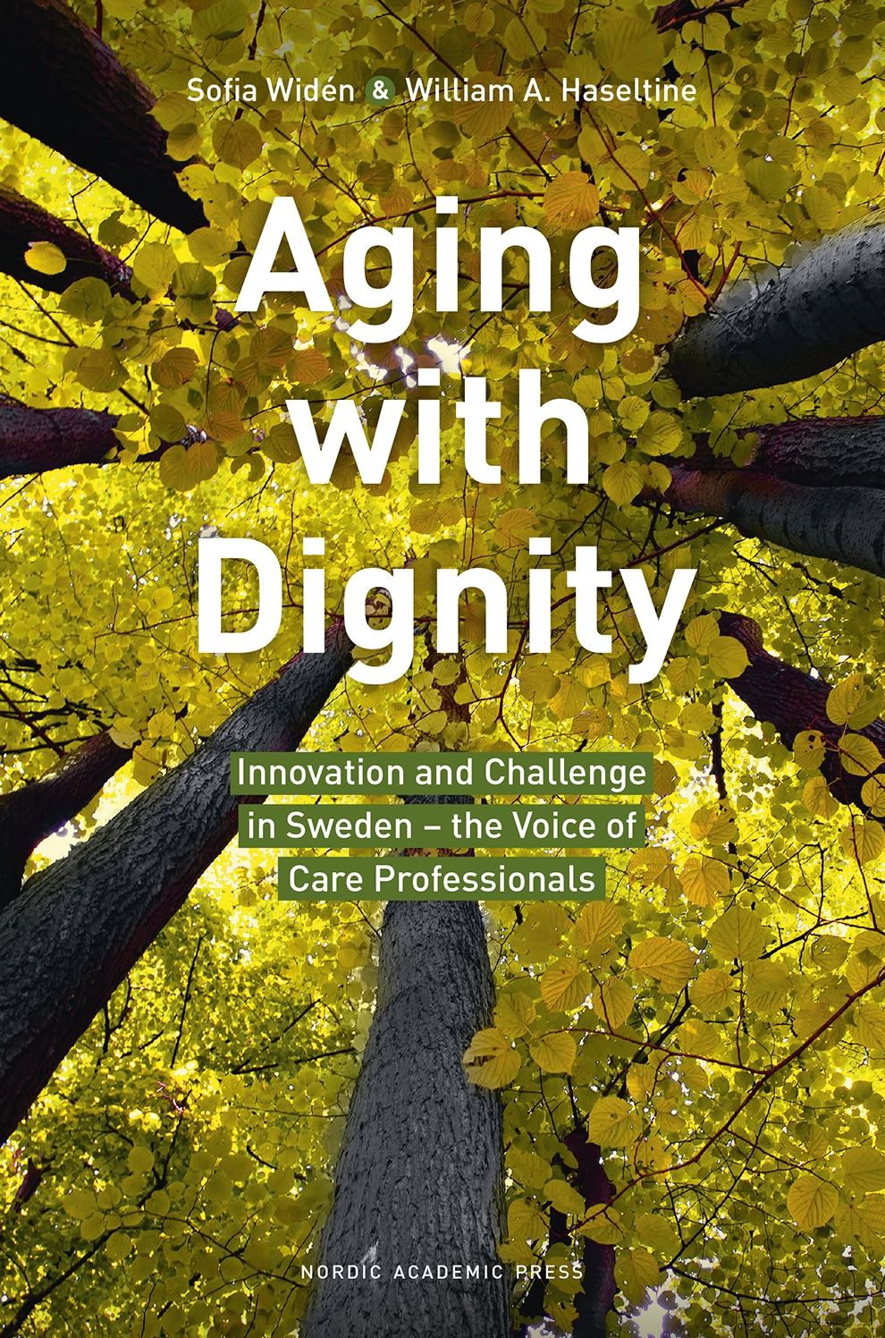 Aging with Dignity: Innovation and Challenge in Sweden - The Voice of Elder Care Professionals