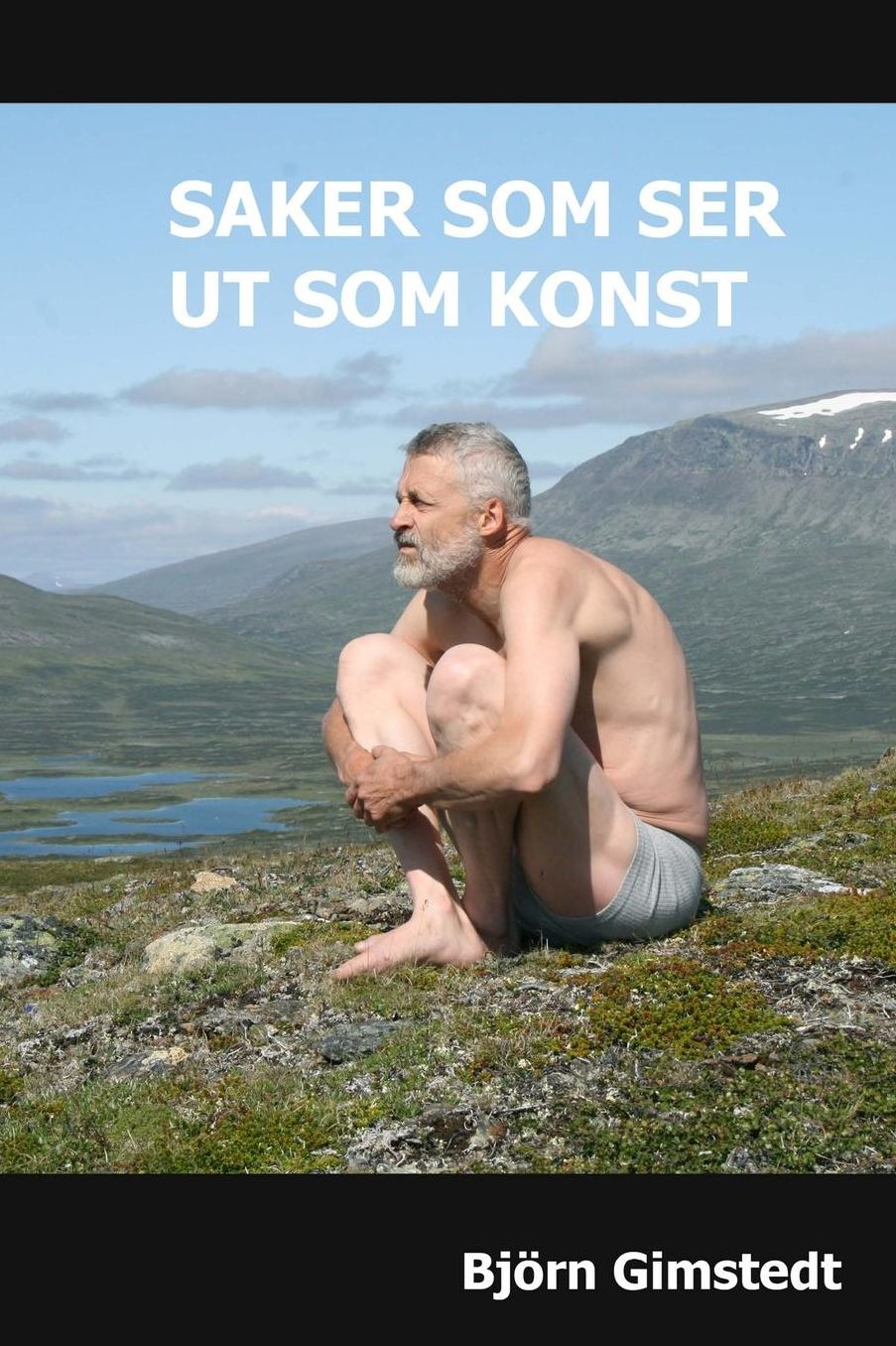 Saker som ser ut som konst