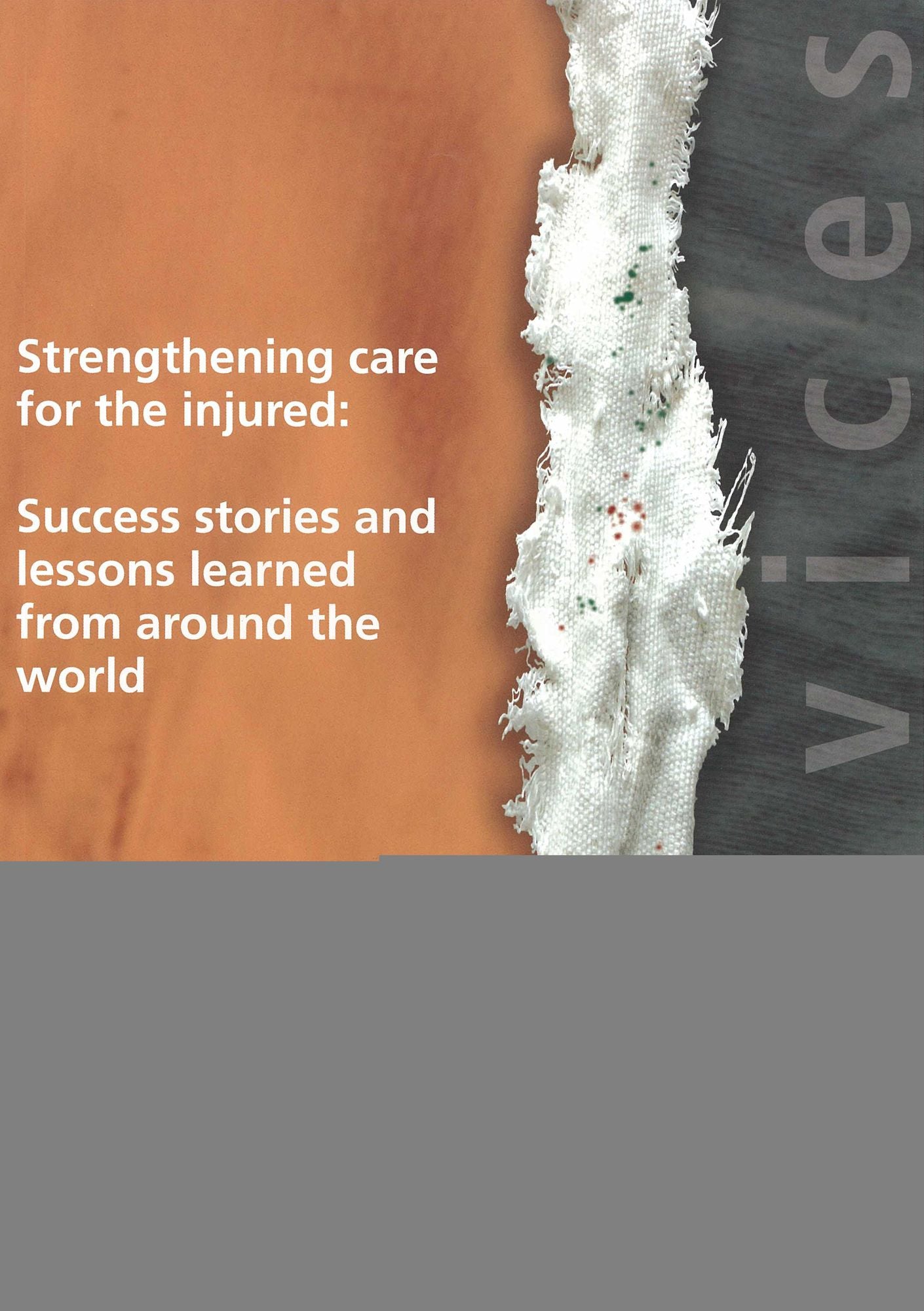 Strengthening Care for the Injured: Success Stories and Lessons Learned from Around the World