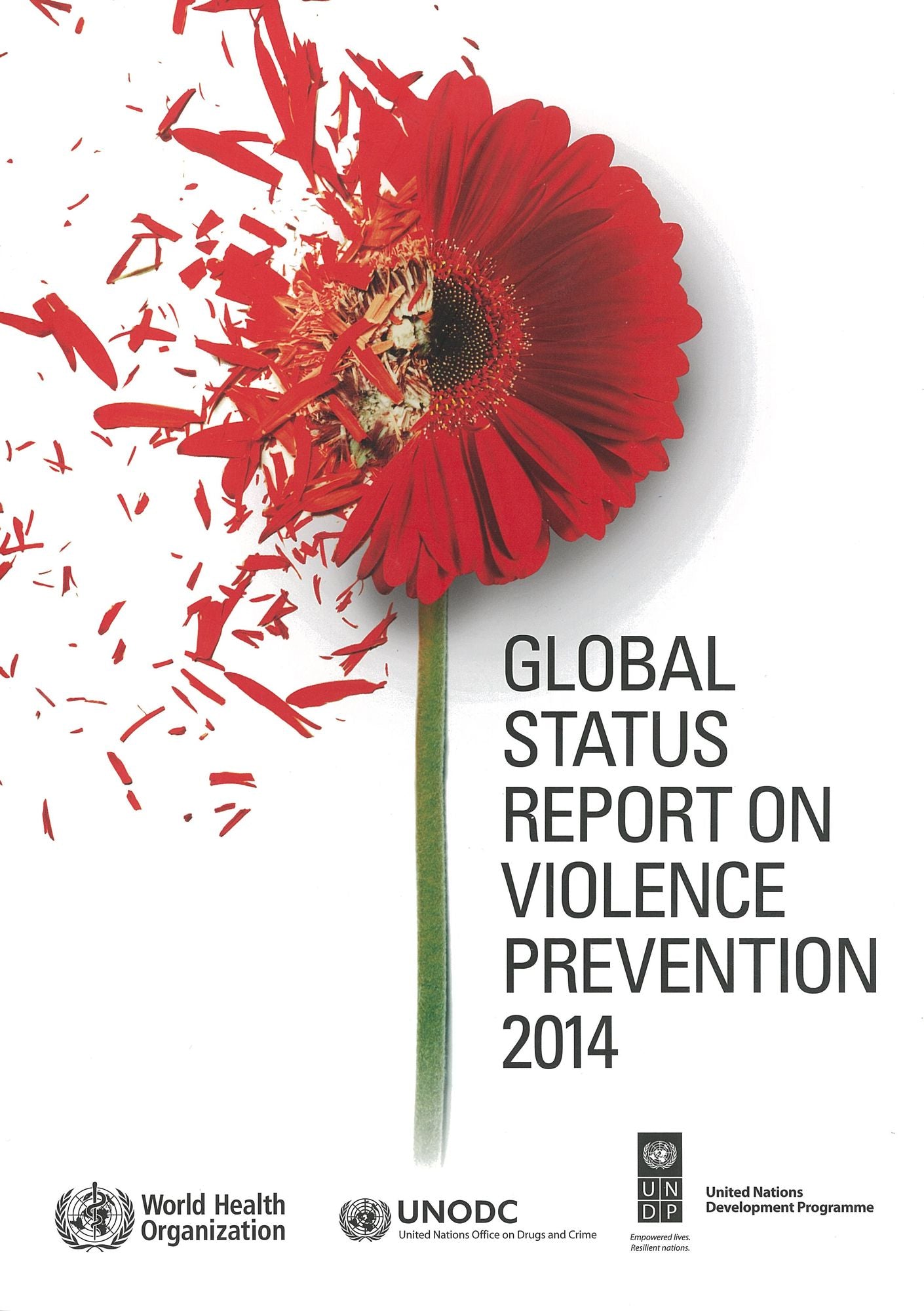 Global Status Report on Violence Prevention 2014