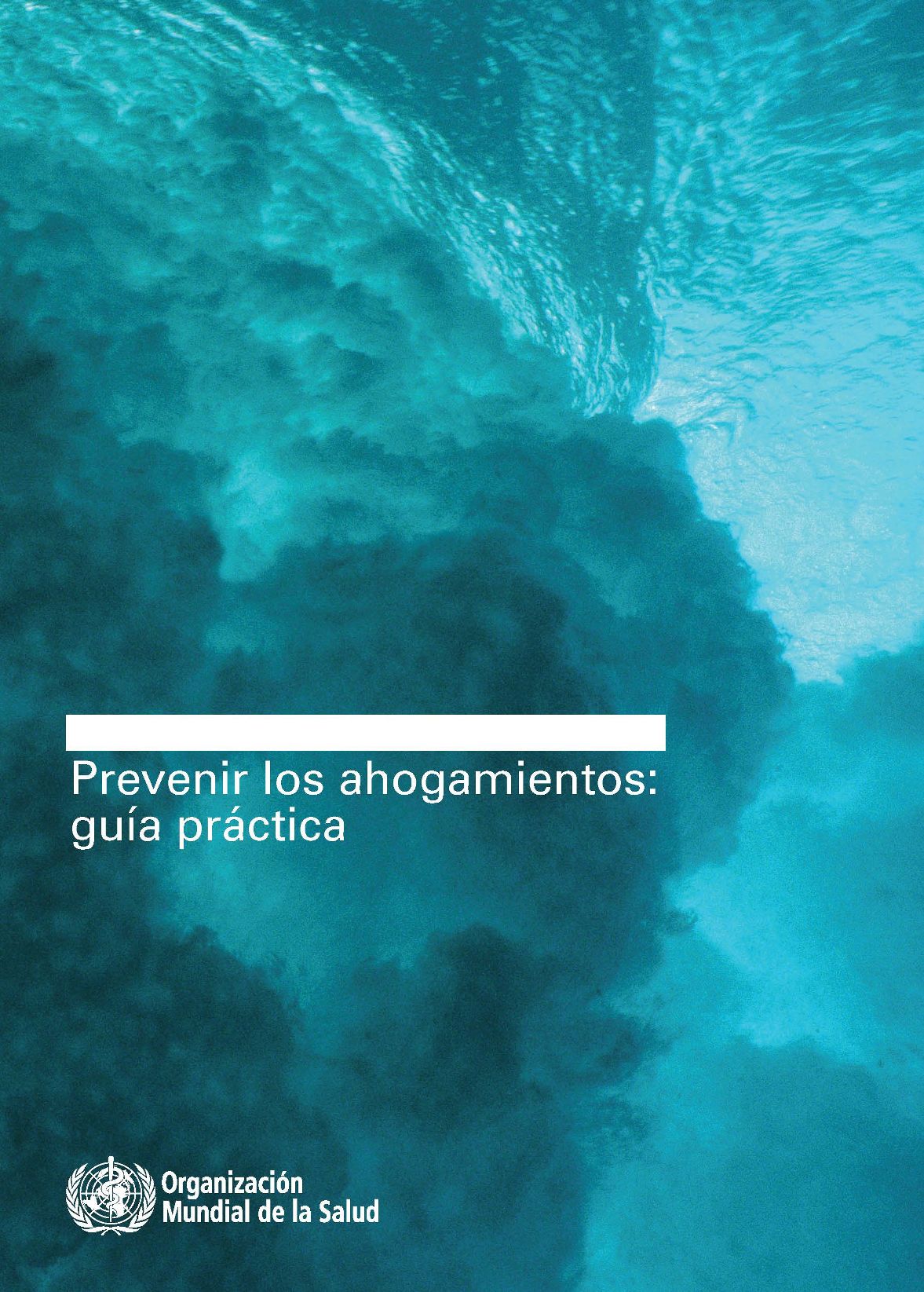 Prevenir Los Ahogamientos: Guia Practica