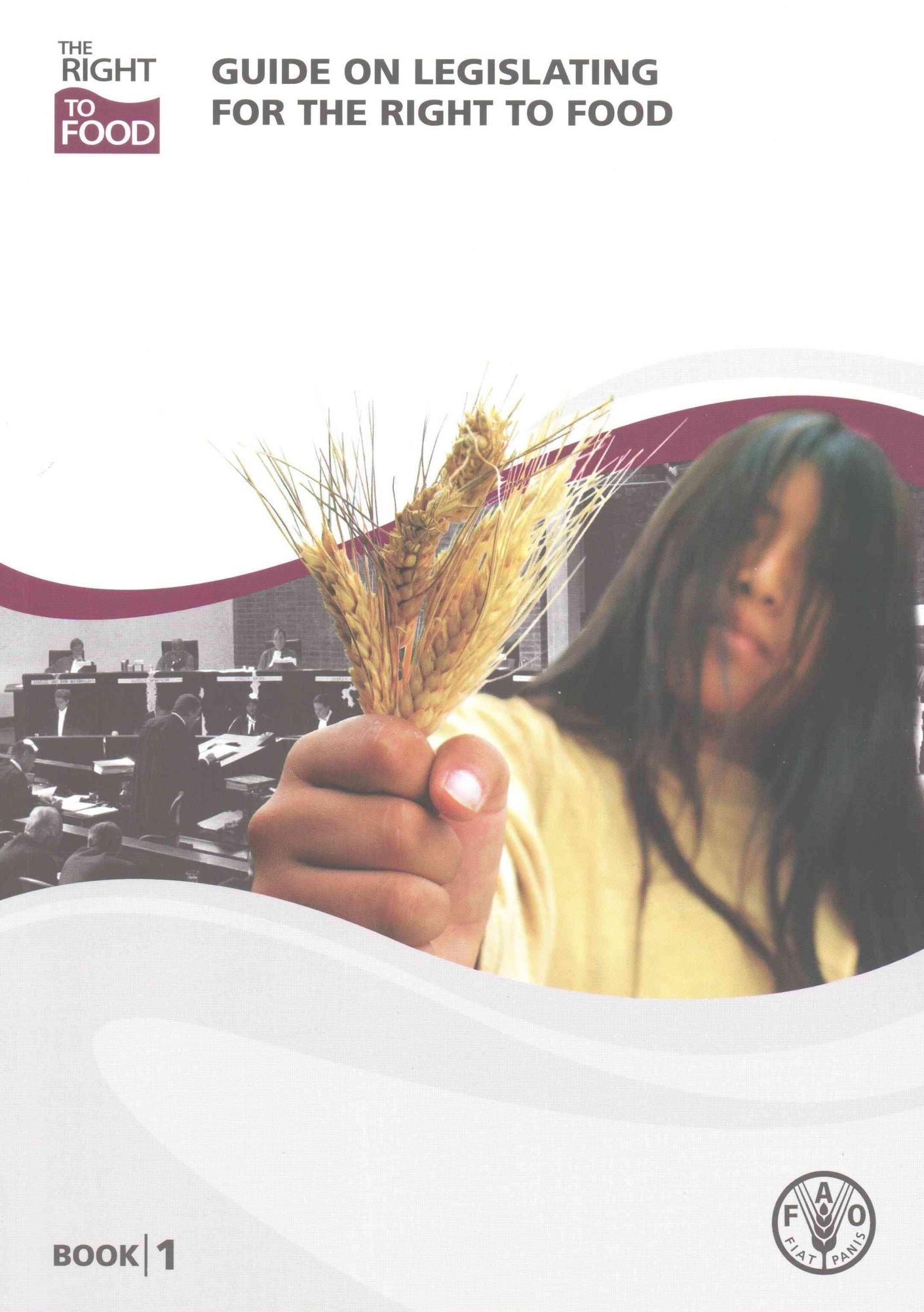 Right to Food Methodological Toolbox