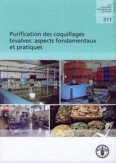 Purification des coquillages bivalves: aspects fondamentaux et pratiques