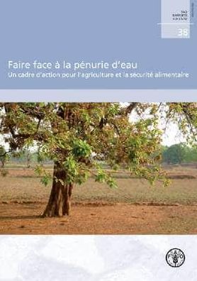 Faire face ? la p?nurie d'eau: Un cadre d'action pour l'agriculture et la s?curit? alimentaire