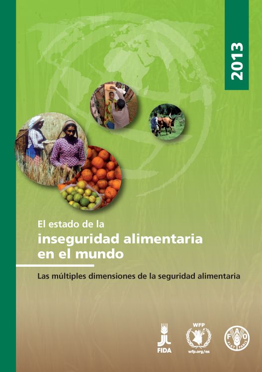 El Estado de la Inseguridad Alimentar?a en el Mundo 2013: Las M?ltiples Dimensiones de la Seguridad Alimentaria