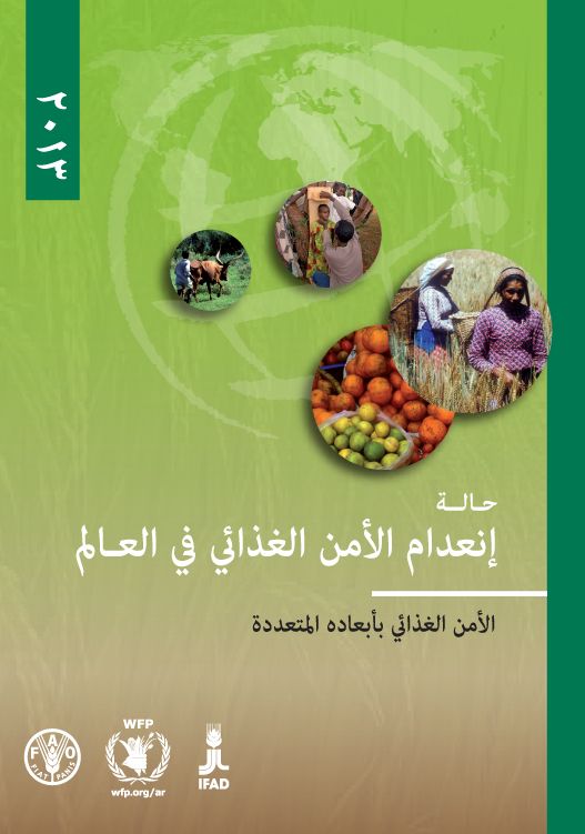 The State of Food Insecurity in the World 2013: The Multiple Dimensions of Food Security