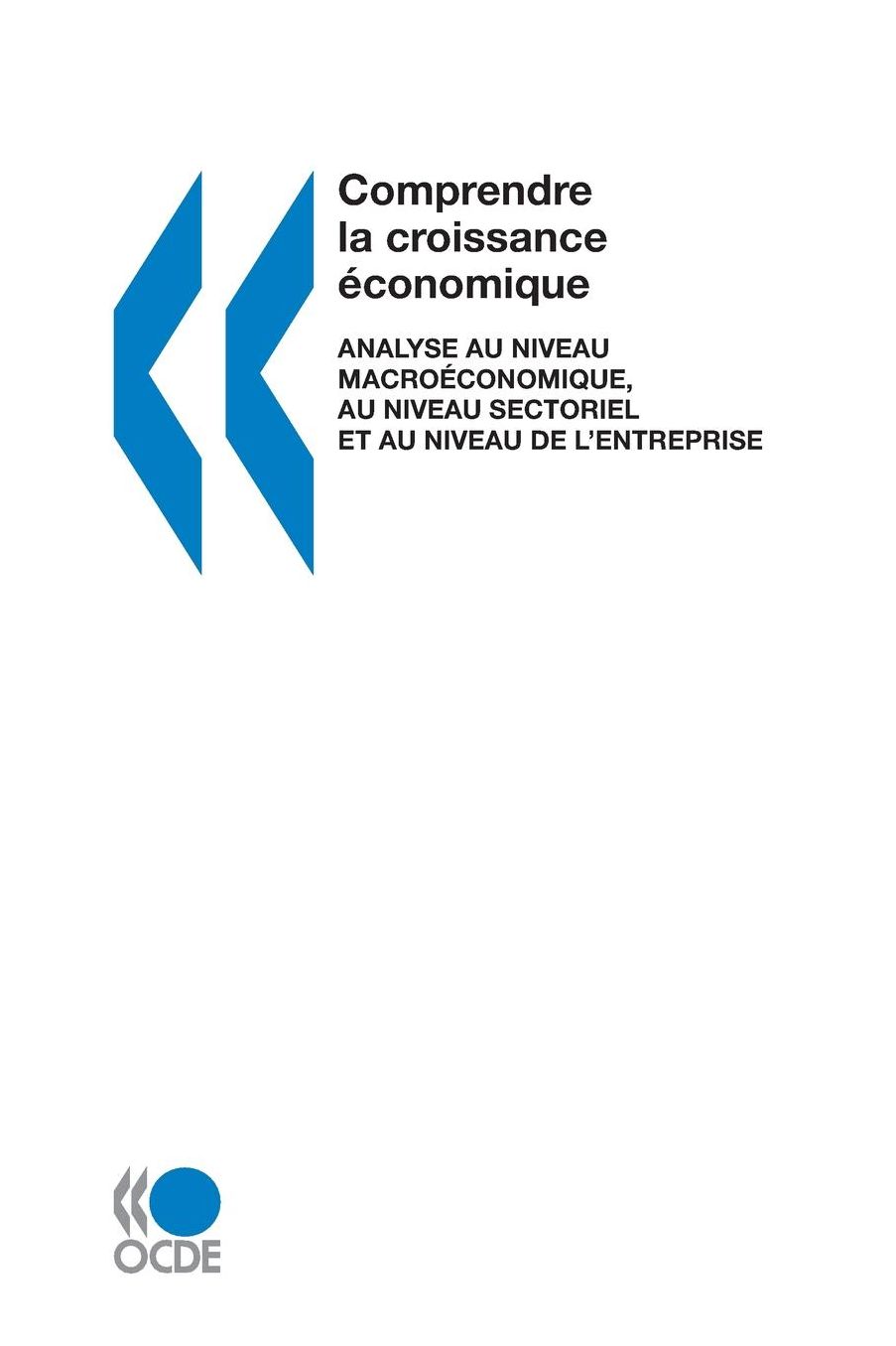 Comprendre La Croissance Economique: Analyse Au Niveau Macroeconomique, Au Niveau Sectoriel Et Au Niveau de L'Entreprise