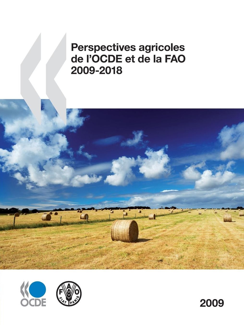 Perspectives Agricoles de l'Ocde et de la Fao 2009