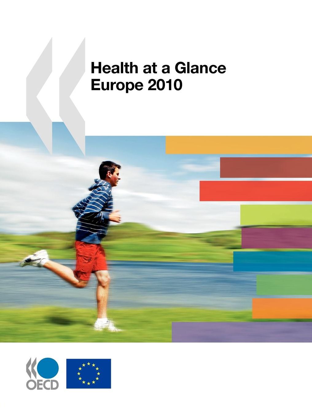 Health at a Glance : Europe 2010