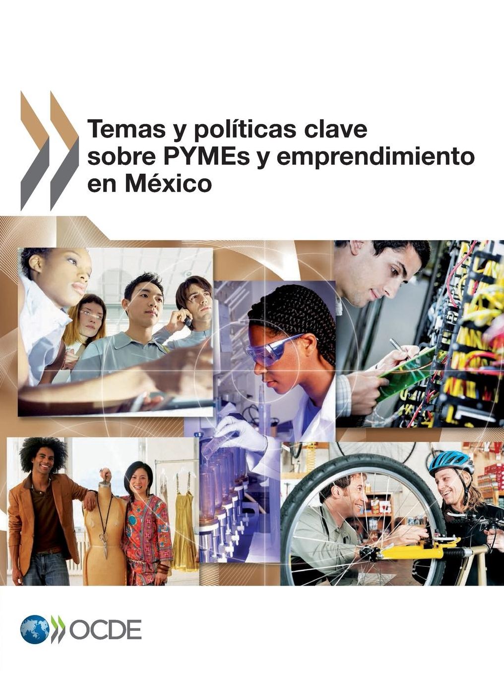 Temas y Politicas Clave Sobre Pymes y Emprendimiento En Mexico