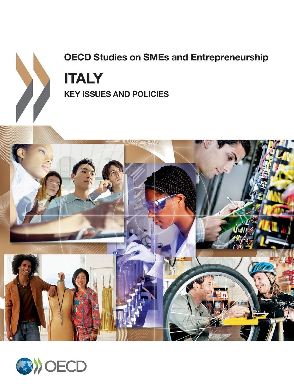 OECD Studies on Smes and Entrepreneurship Italy: Key Issues and Policies