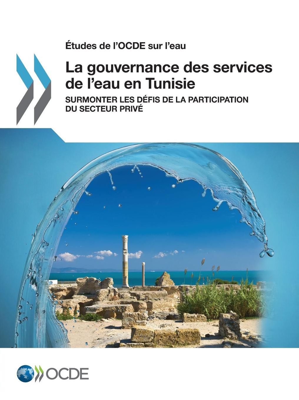 Etudes de L'Ocde Sur L'Eau La Gouvernance Des Services de L'Eau En Tunisie: Surmonter Les Defis de La Participation Du Secteur Prive