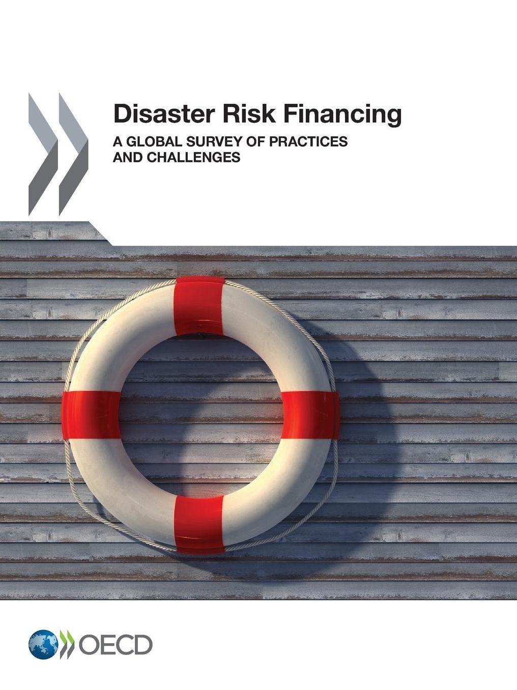 Disaster Risk Financing: A Global Survey of Practices and Challenges
